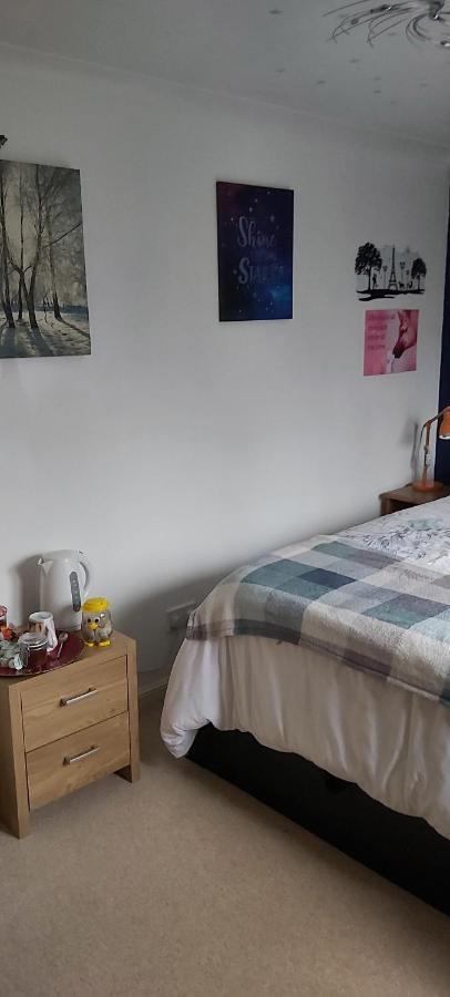 Homely Haven, دنفرملاين المظهر الخارجي الصورة